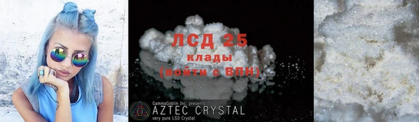 спиды Богданович